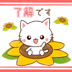 ❤気遣いにゃんこの暑い夏❤