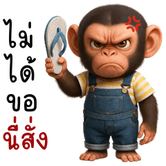 Playful chimpanzee (THAI)