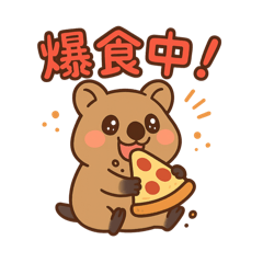 クアッカワラビーのにぎやかライフ
