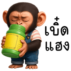 Playful chimpanzee (E-San)