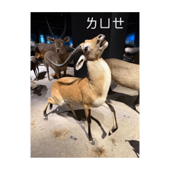 一些生活日常的發現