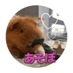 kurumi_20250817135933