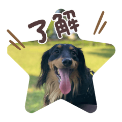 Asahi_20250817114428