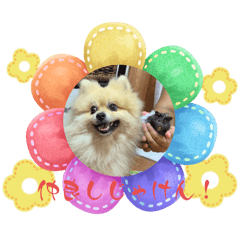 riipopo_2025081513450