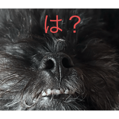 Nitamago_20250817152650