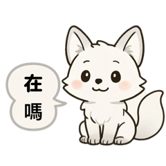 可愛的北極狐