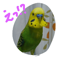 happy~yuzu