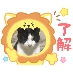 Setsu_20250817165939