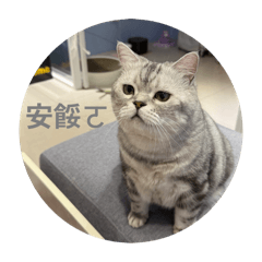可愛阿喵喵喵