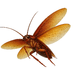 Cockroach Prank Part 4 : Pop-up stickers