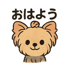 Adorable Yorkshire Terrier