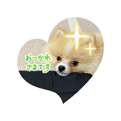 yuzuki_20250816094213