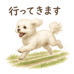 マルチーズの可愛い日常スタンプ