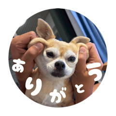 asuka_20250817155108