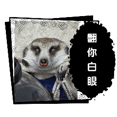 膜鬼貼手-狐獴店長3