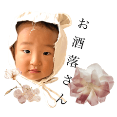 koto_20250817171730