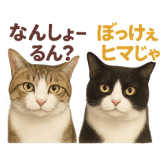 Ron & Dora Okayama Dialect Cats