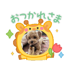 Haru_20250816172749