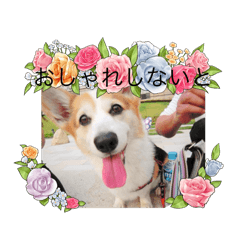 AYUMI_20250817172528