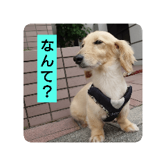 shio_20250817172822