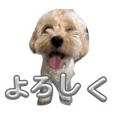 ryonosuke_20250817172930