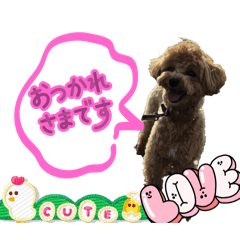 Sakura_20250817213846