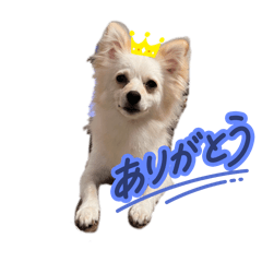 hanabi_20250817213643