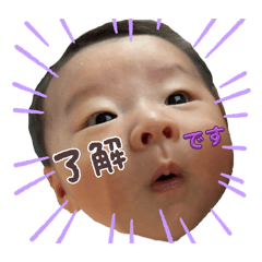 shio_20250817213732