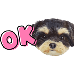 aichan_20250818011952