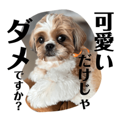 natsu_20250817213947