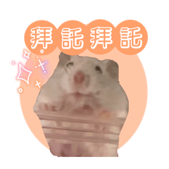 Amui is back