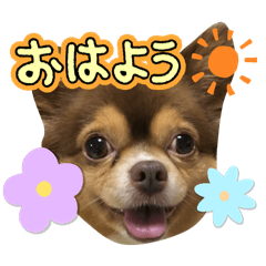 kana_20250818092944