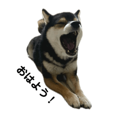 CHIHIRO_20250816234841