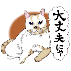 にゃんズからの優しい言葉