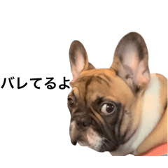 Rinka_20250817013642