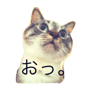 KI.NA.KO