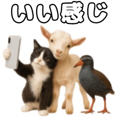 Three Best Friends Snap Photo Edition