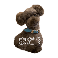 seira_20250817111231