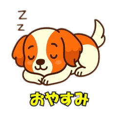 Conversation with Kooikerhondje