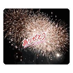 Miwa_20250817132833