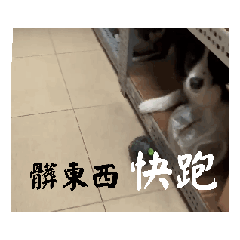 moppy貼圖