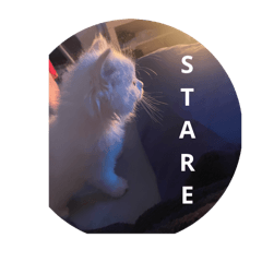 Cubby & Rubby’s Life