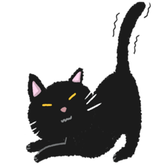 今天是OK的黑貓日常