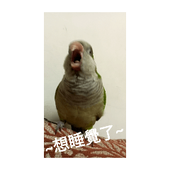 大家都愛的