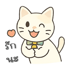 UJU chubby cat