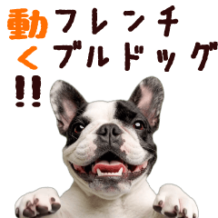 Moving French Bulldog Sticker