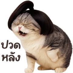 ❤️หงส์ฟู่ แมวสลิดตัวตึง❤️