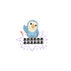 癒しコザクラインコ♡メッセージVol.1