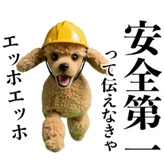 動くプードル現場仕事☆エッホエッホ