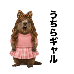 超ギャルなマーモット【ギャル語・流行語】